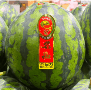 특등급 꿀 수박